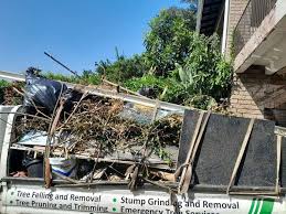 Best Construction Debris Removal in Sherman, TX